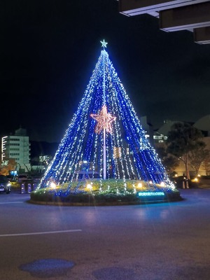 IMG_20251011_192950789_HDR