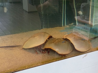 IMG_20250811_132200180