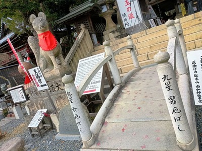 IMG_20241229_142045760_HDR_AE