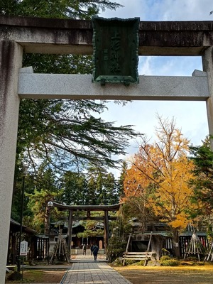 IMG_20251117_124435435_HDR