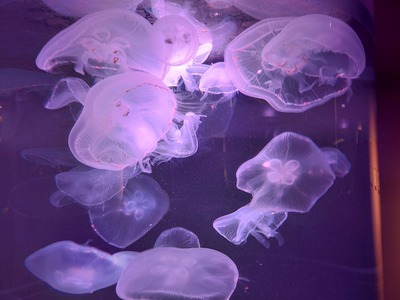 IMG20220101122131
