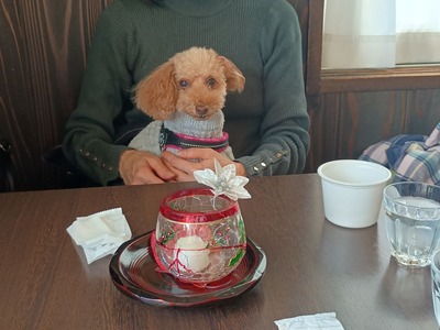 IMG_20251117_130014702_HDR