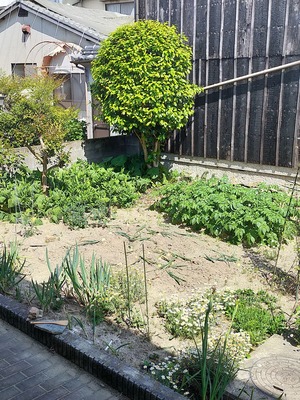IMG20220508141205