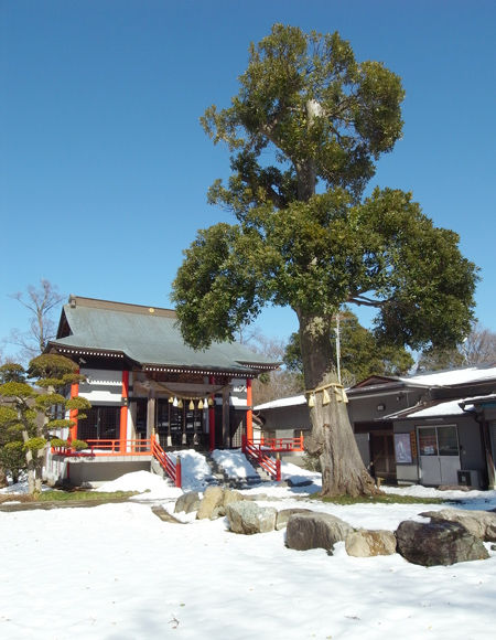 金ヶ作熊野神社8