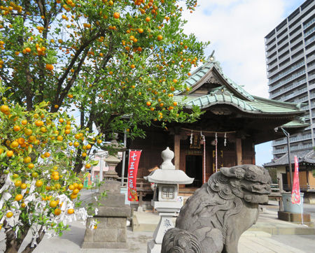 胡録神社8