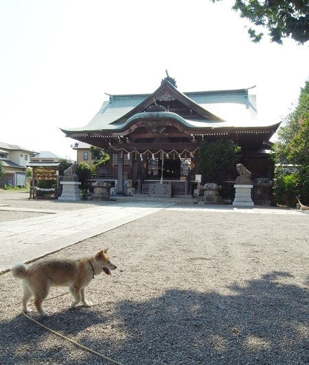 別雷神社2