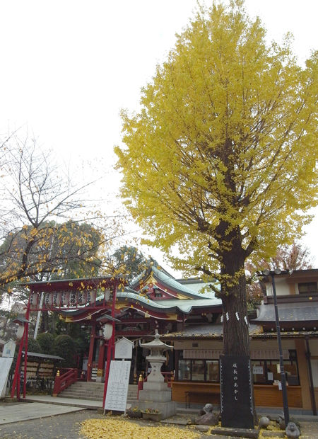 居木神社1612