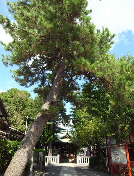 立石熊野神社6