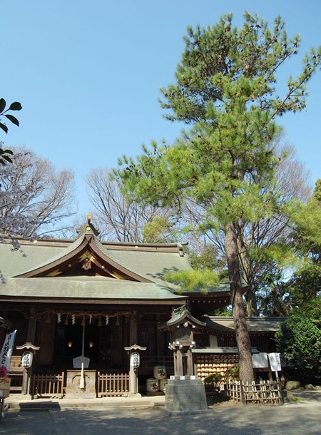 前鳥神社・相模