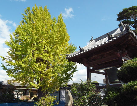 浄瑠璃山　法光院　宝厳寺