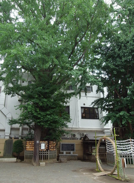 天祖神社・大塚1