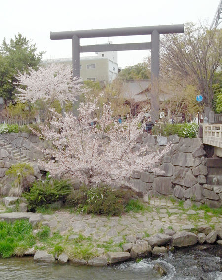 四柱神社7