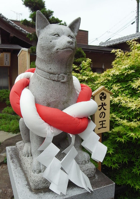 伊奴神社・犬の王