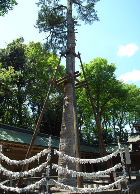 八幡神社・荻窪47