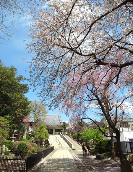 東福寺・境内2