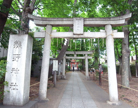 自由が丘熊野神社1