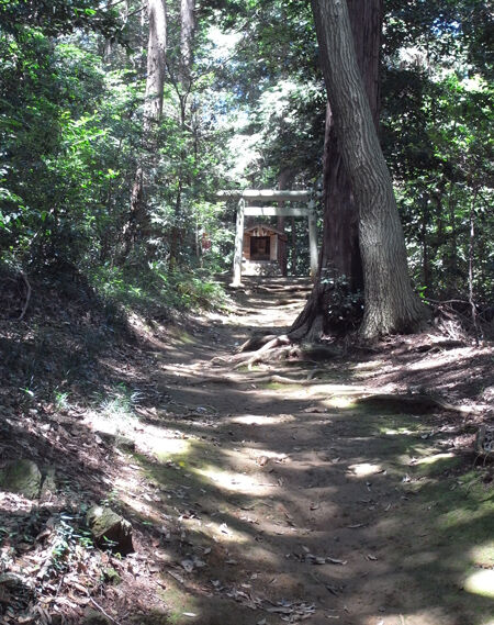 高麗神社8