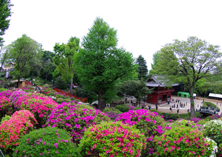 200804根津神社