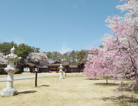 長野県護国63