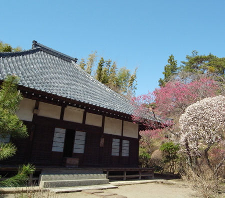 妙覚寺6