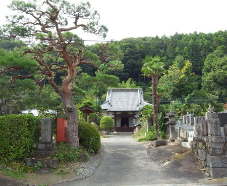 51善雄寺8