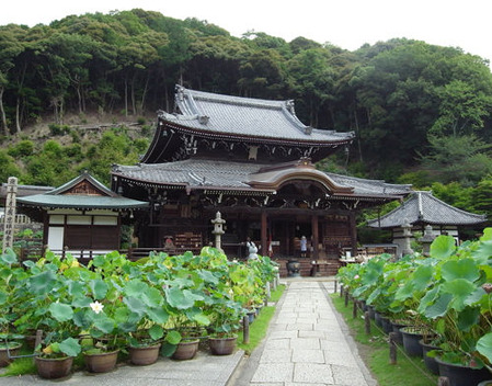 三室戸寺・本堂