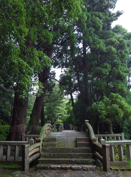 桜井神社8