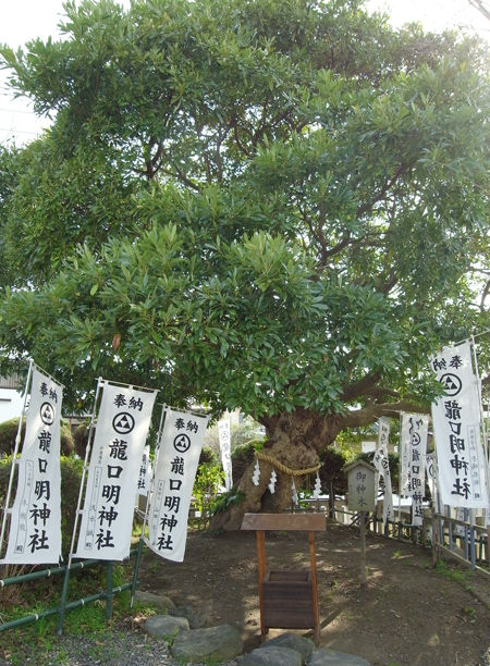 龍口明神社5