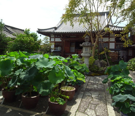 大蓮寺