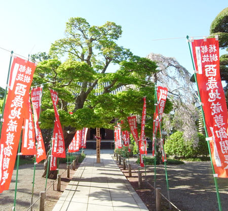 03瑞雲寺6