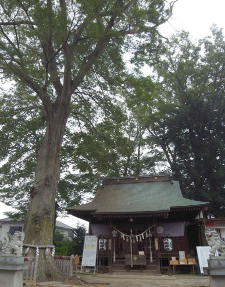 守谷八坂神社4