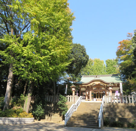 八幡・北沢八幡宮1