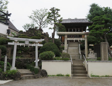 浅間神社・北町・徳丸北野神7