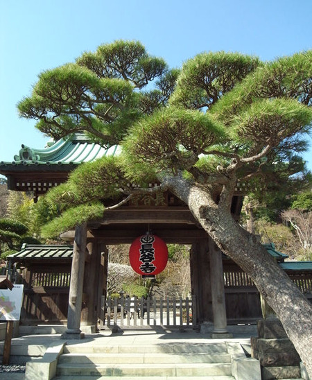 長谷寺・山門