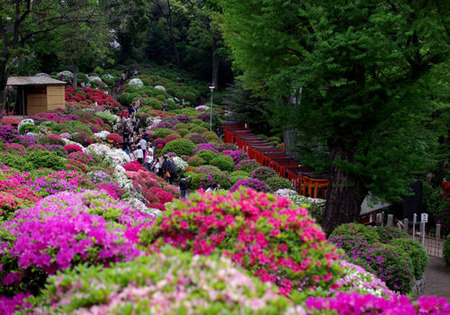 根津神社