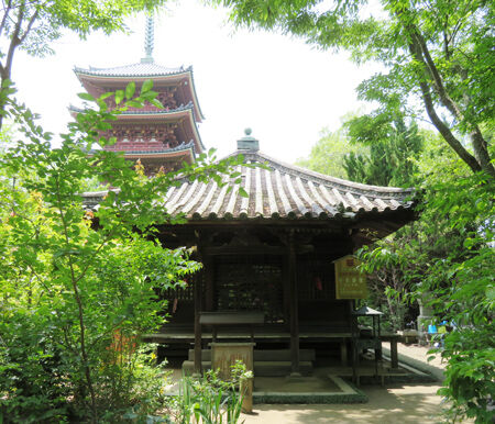 86志度寺・201806_1786