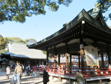 氷川神社5