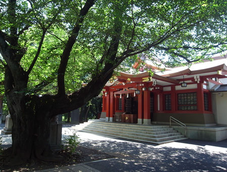 八幡神社・旗ヶ岡7