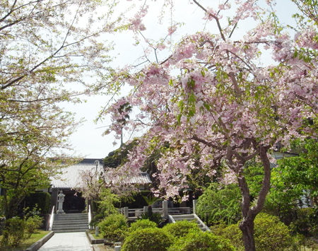 伝福寺