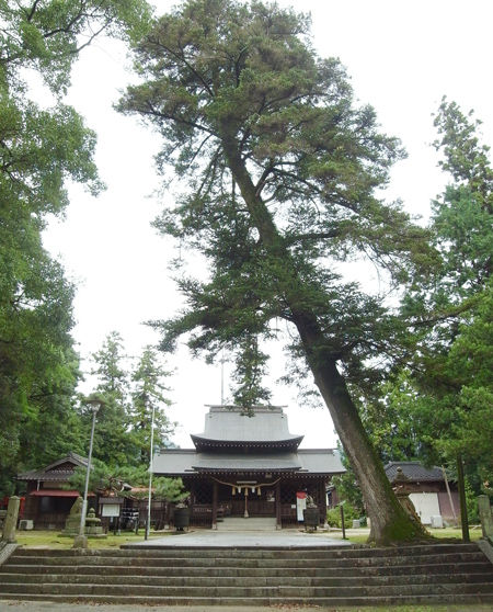 今八幡宮・八坂神社6