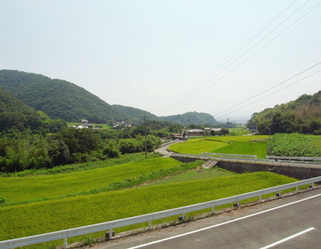 和泉寺・境内から