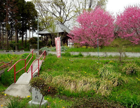 正福寺・薬師堂