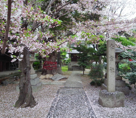 三輪神社・4月稲荷7