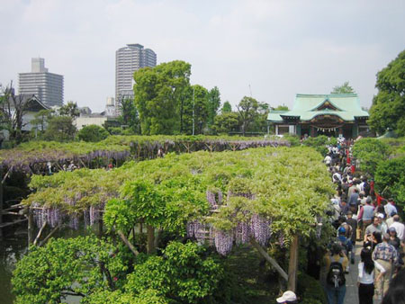 亀2