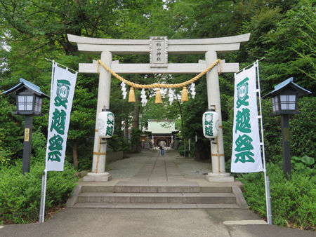 星川杉山神社・夏越8