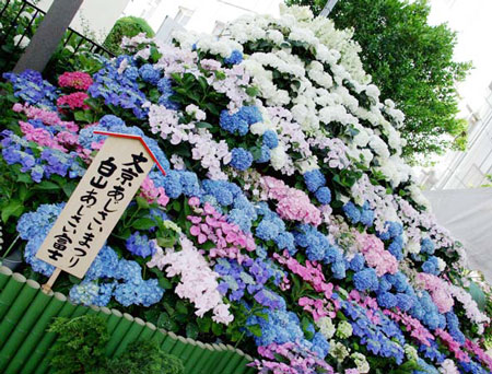 はく