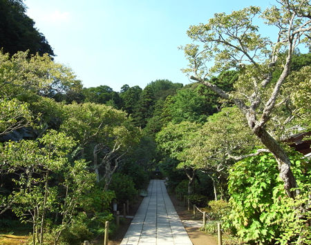 東慶寺4