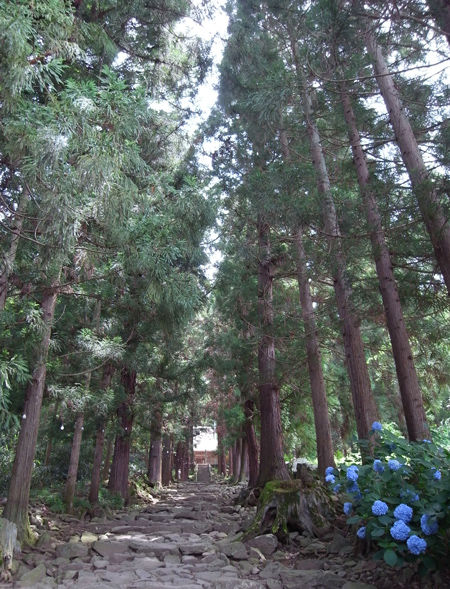浄光寺4