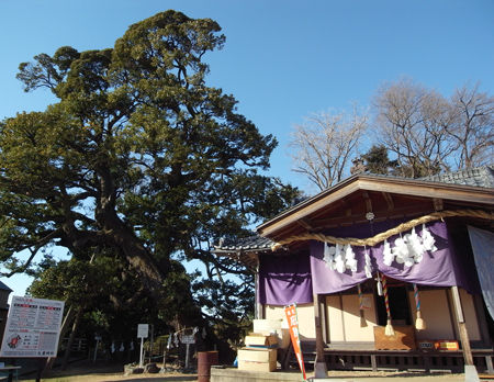 九重神社0