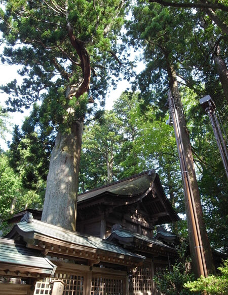 雄山神社・前立社檀55